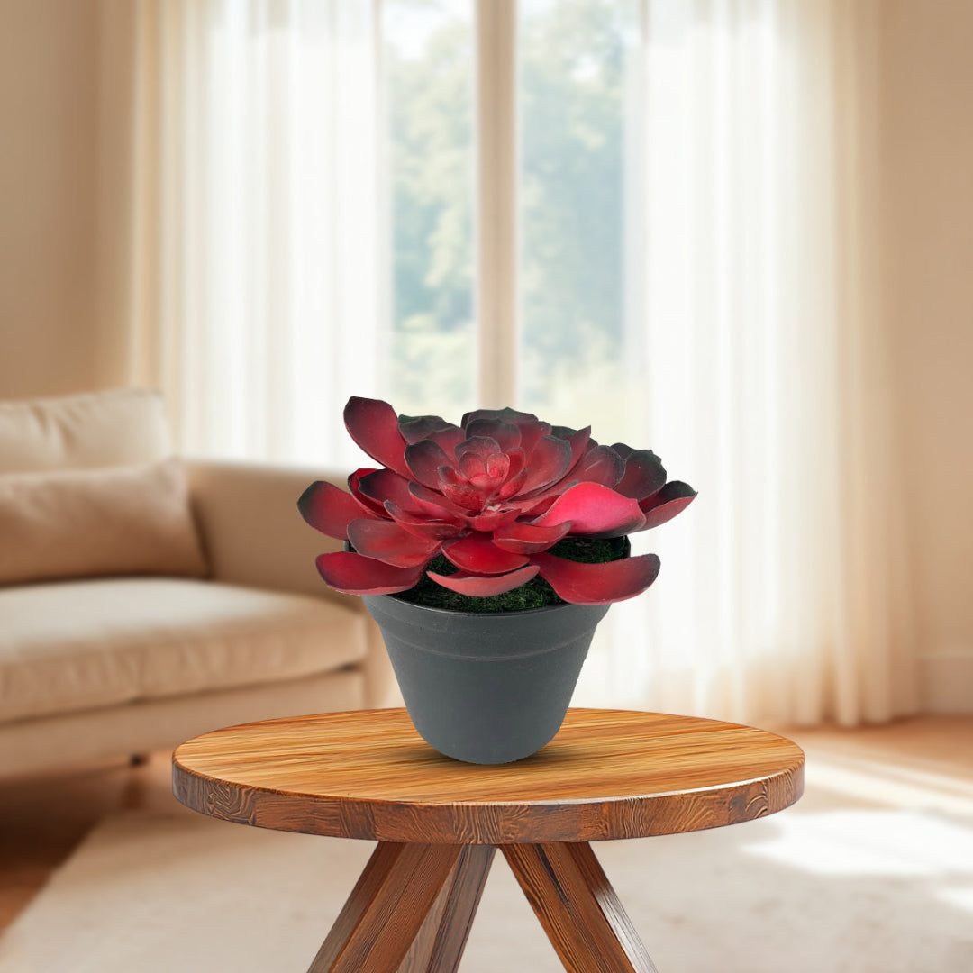 Gorgeous Echeveria in Color of Your Choice - Artificial