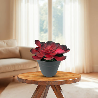Gorgeous Echeveria in Color of Your Choice - Artificial