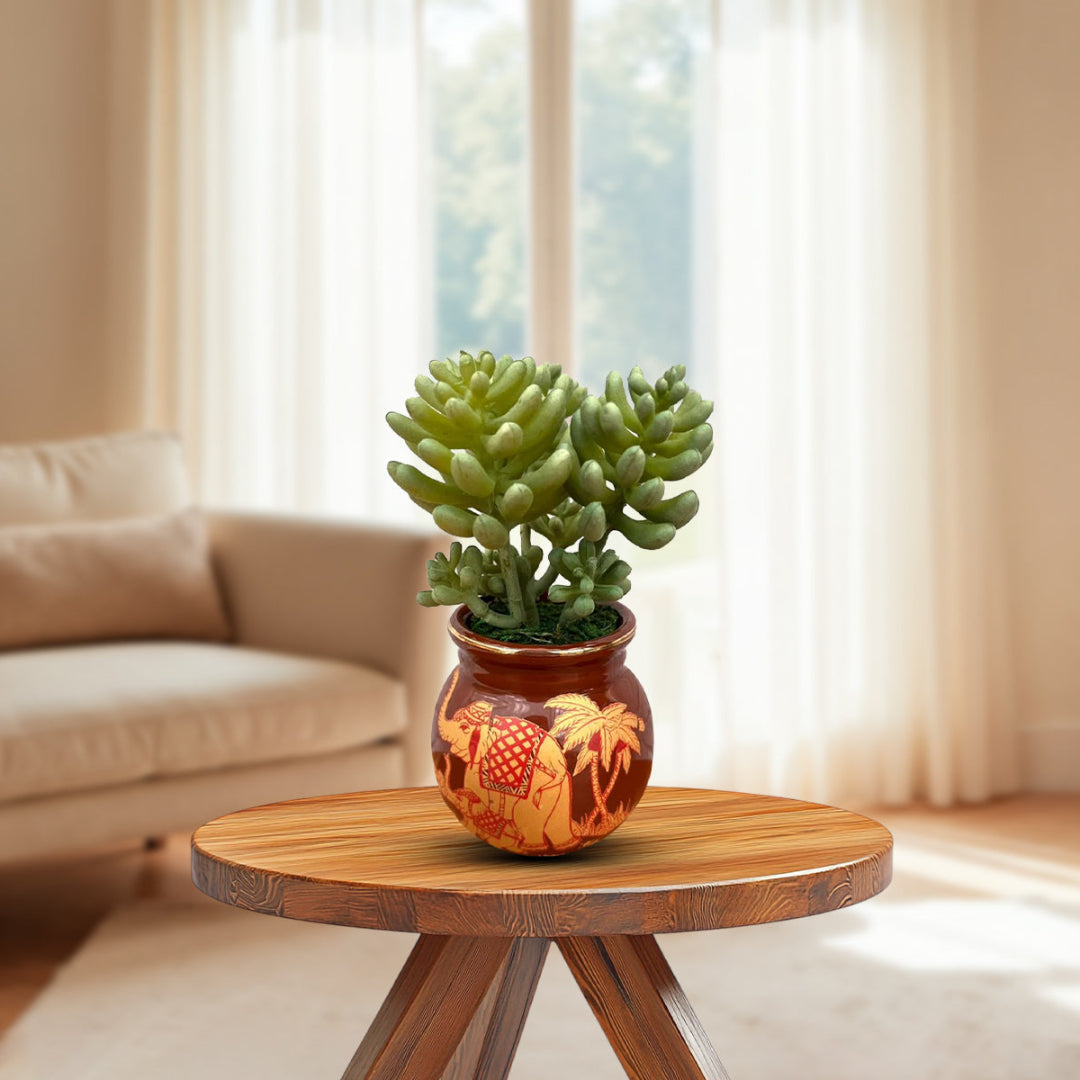 Beautiful Mini Green Succulent -Good Gift