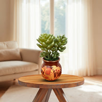 Beautiful Mini Green Succulent -Good Gift