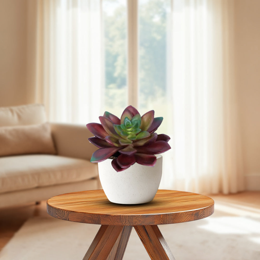 Beautiful Succulent in Ceramic Pot - Artificial ~ The Perfect Christmas Gift