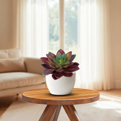 Beautiful Succulent in Ceramic Pot - Artificial ~ The Perfect Christmas Gift