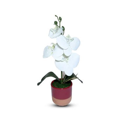 Gorgeous White Mini Orchid In Different Type of Pot - Artificial