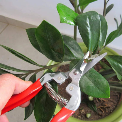Garden Pruning Shears – Sharp Blade Hand Pruner with Spring-Loaded Handle