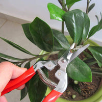 Stainless Steel Bypass Pruning Shears