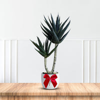 Artificial Succulent Plant – Realistic Modern Décor Piece