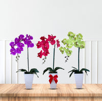 Artificial Stunning Orchid in Tall Ceramic Pot-Good Gift