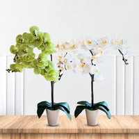 Artificial Stunning Orchids - Perfect Gift