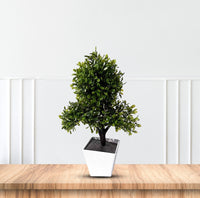  artificial decorative bonsai plant with white pot indoor decor