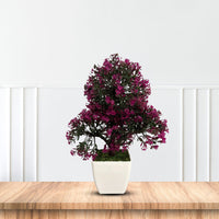 Artificial : Bonsai in Triangular Shape-Good Gift