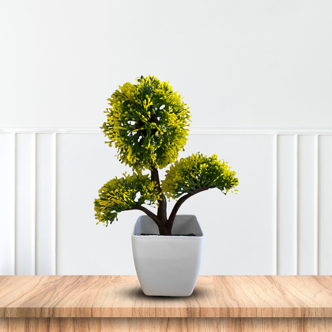 Green and Yellow Bonsai -Good Gift