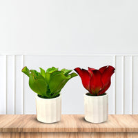 Artificial Stunning Plant with Ceramic Pot-Good Gift
