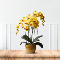 Artificial Plant - Gorgeous Yellow Orchid – Good Gift