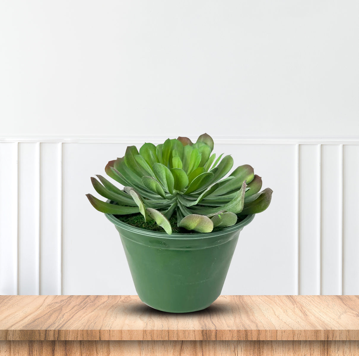 Cute Tree Houseleek Succulent in Plastic Pot - Artificial
