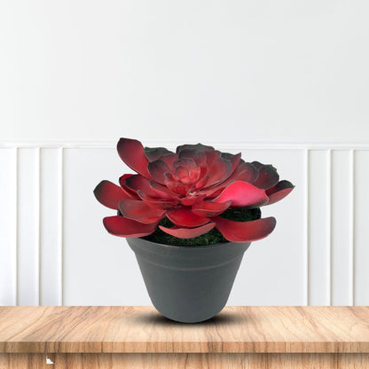 Gorgeous Echeveria in Color of Your Choice - Artificial