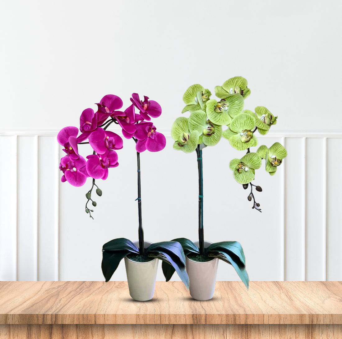 Gorgeous Artificial Orchids In White Ceramic Pot-Perfect Gift (Artificial)