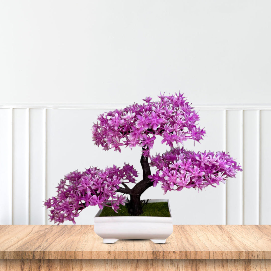 Gorgeous Bonsai with Very Attractive Pot with choice of your color -Good Gift