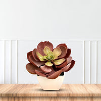 Artificial Stunning Crassulla Red Succulent -Good Gift