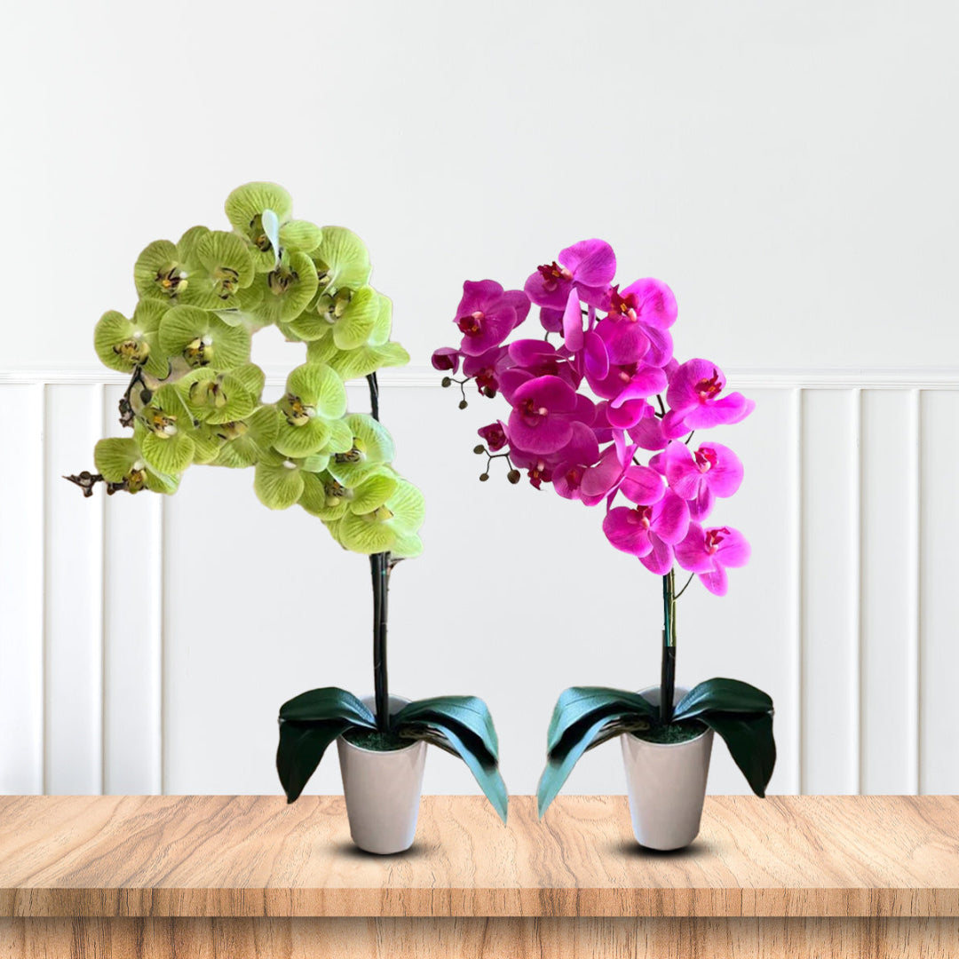Stunning Orchids-Artificial-Good Gift