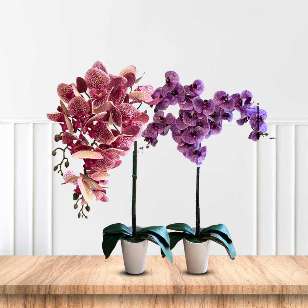 Gorgeous Variegated Orchids with 9 Flowers (Artificial) (The Perfect Christmas Gift)