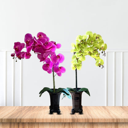 Stunning Orchids in Black Ceramic Legged Pot-Artificial (Perfect Gift)