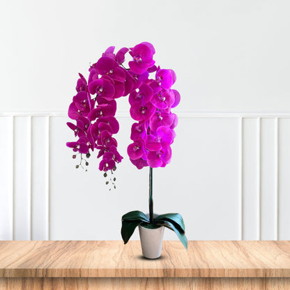 Gorgeous Artificial Orchids in Black Ceramic Legged Pot