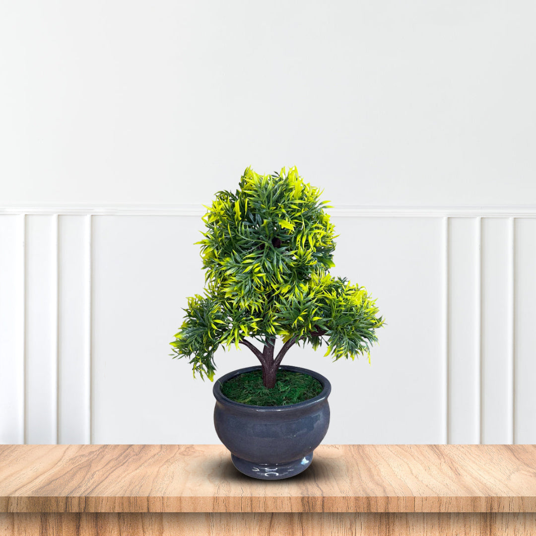 Green and Yellow Bonsai with Pot-Good Gift