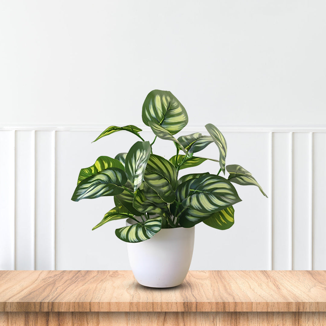 Stunning Peacock Plant in pot of your choice-Artificial-Good Gift