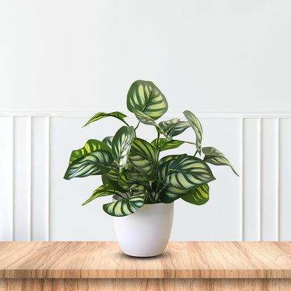 Stunning Peacock Plant in pot of your choice-Artificial-Good Gift