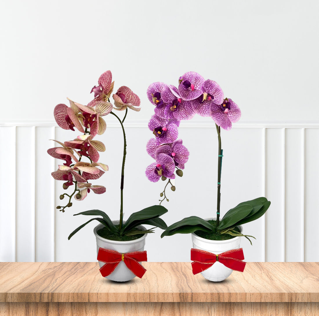 Beautiful Variegated Orchid-Artificial (The Perfect Christmas Gift)