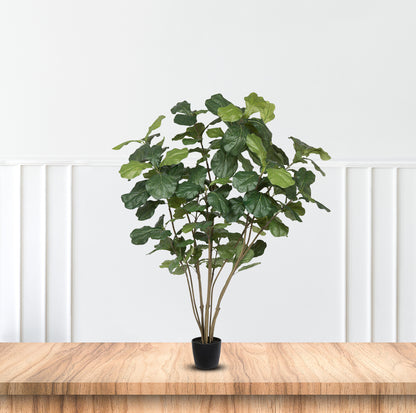 Fiddle Tree-Good Gift