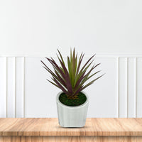 Artificial Plant - Gorgeous Succulents in Ceramic Pot-Good Gift