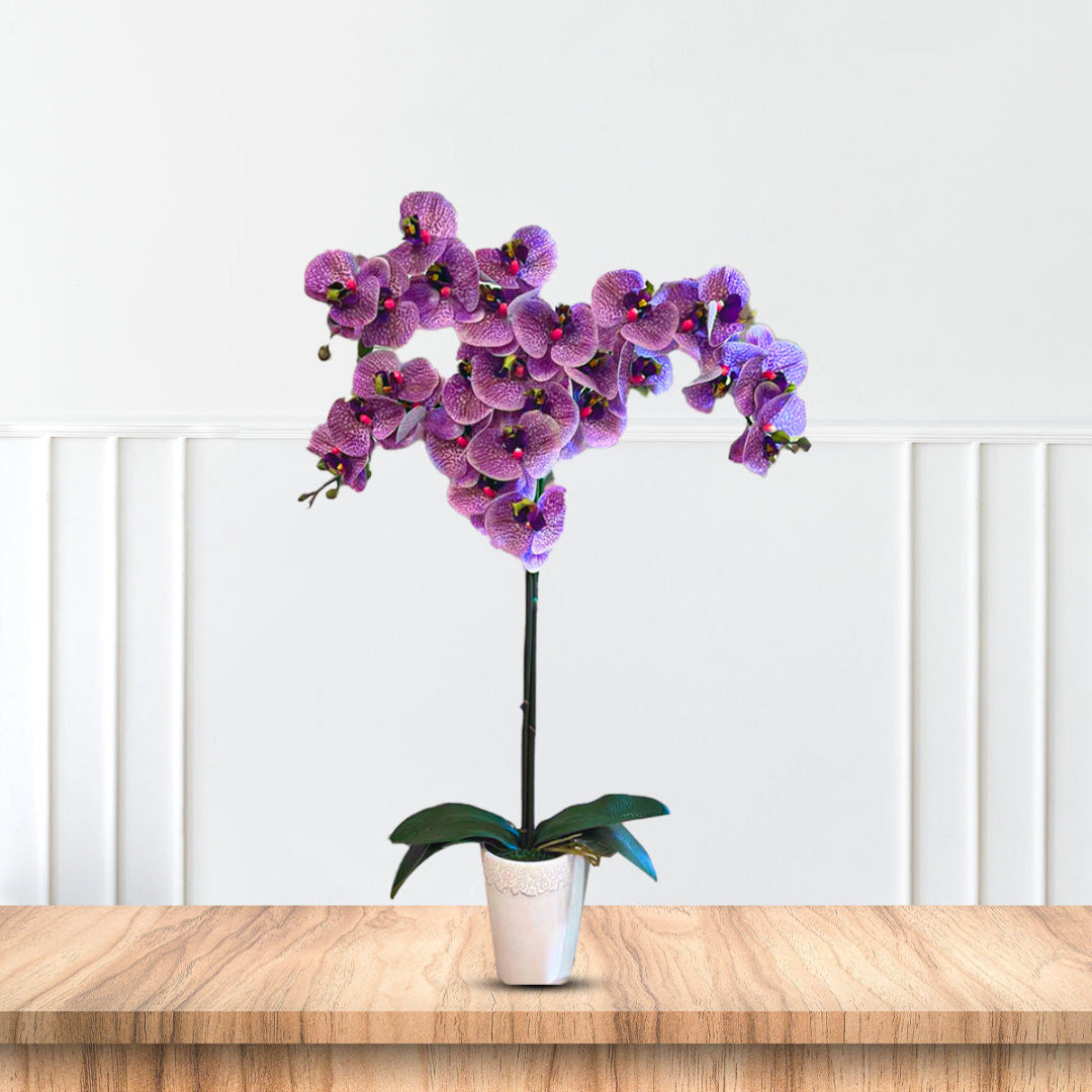 Gorgeous Real-Touch Phalaenopsis Orchid-Artificial (Good Gift)
