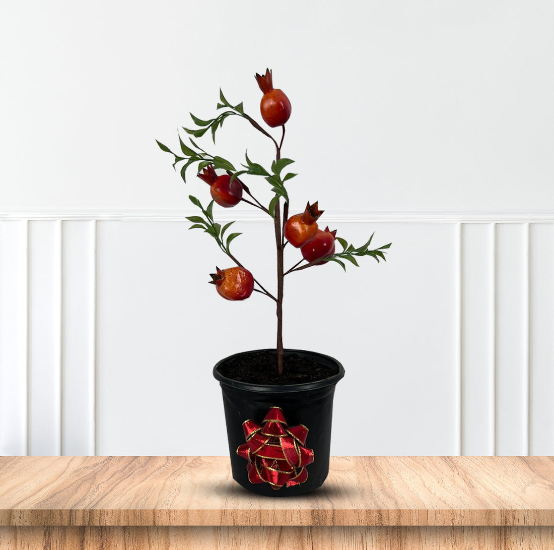 Cute Pomegranate Bonsai in Pot of Your Choice-Artificial