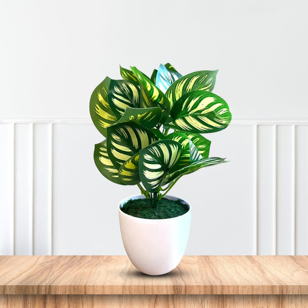 Artificial Plant : 11 Inches Green Potted Succulent-Good Gift