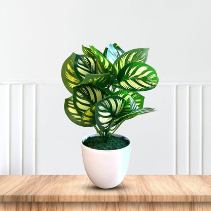 Artificial Plant : 11 Inches Green Potted Succulent-Good Gift