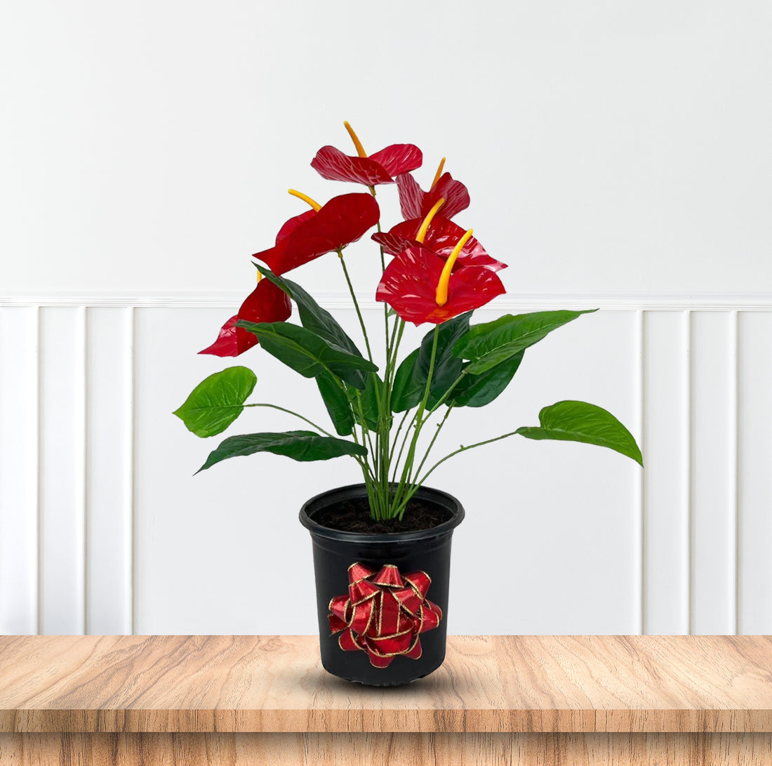 Gorgeous Artificial Anthurium Plant