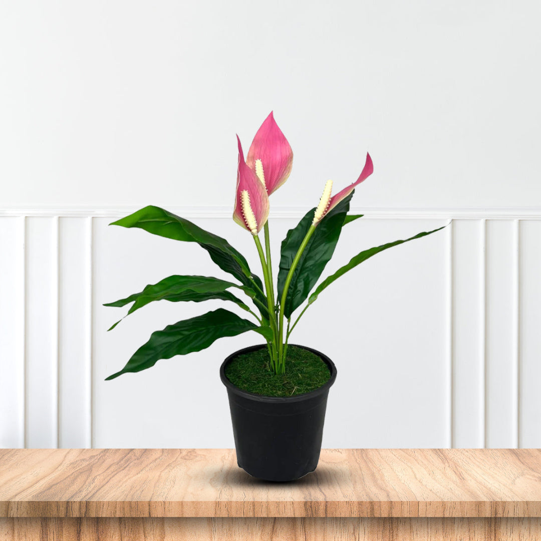 Gorgeous Potted Pink Peace Lily-Artificial