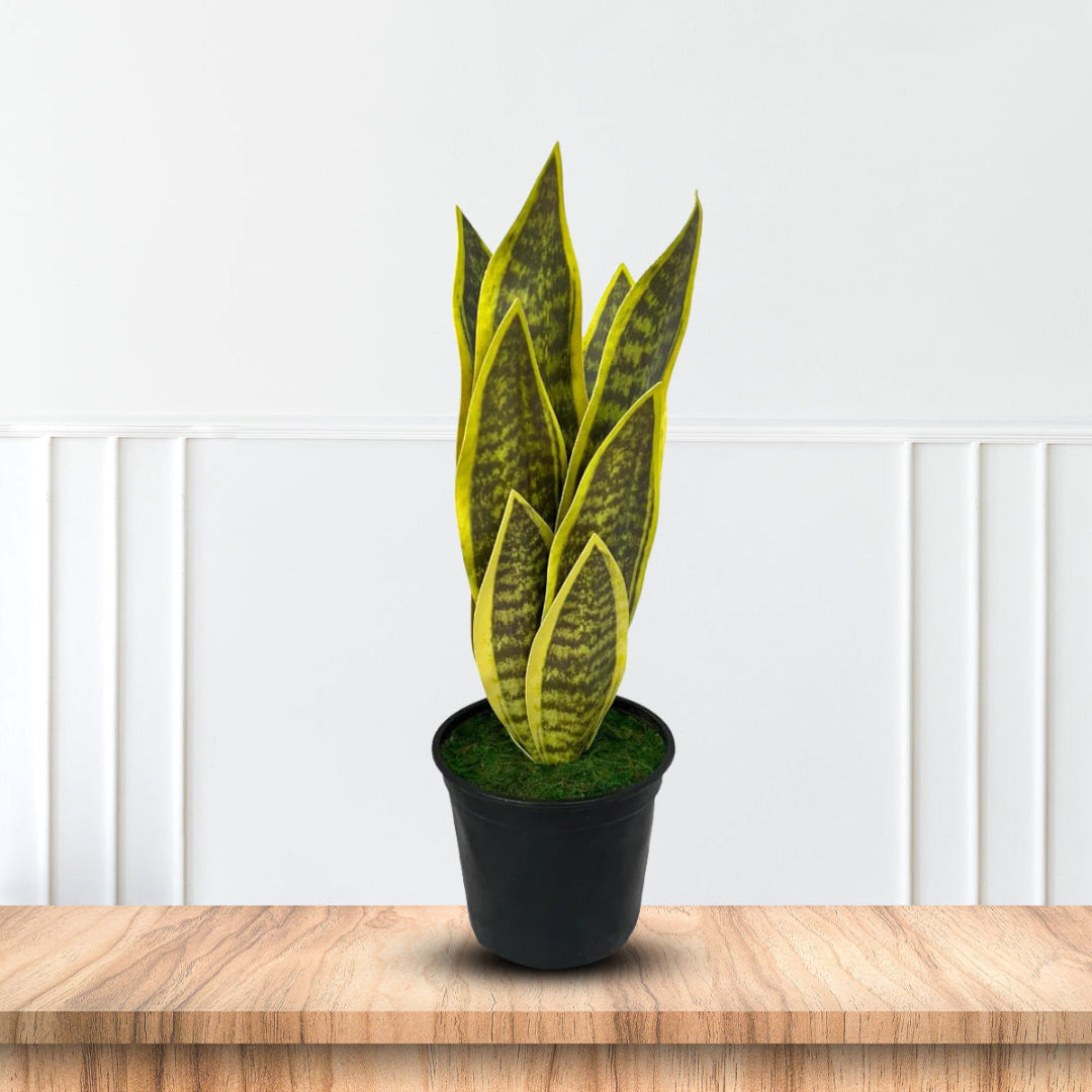 Beautiful Potted Snake Plant-Artificial