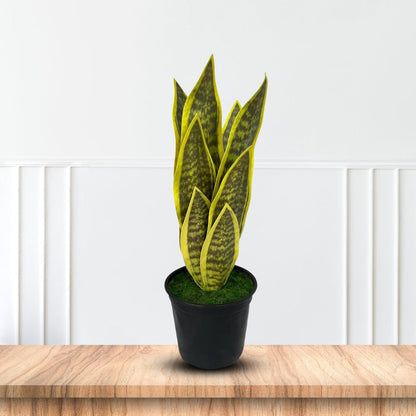 Beautiful Potted Snake Plant-Artificial