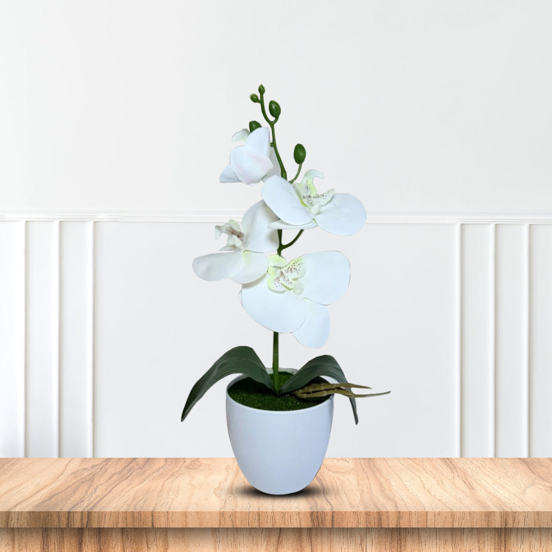 Gorgeous White Mini Orchid In Different Type of Pot - Artificial