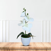 NEW - Gorgeous White Mini Orchid In Different Type of Pot - Artificial