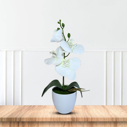 Gorgeous White Mini Orchid In Different Type of Pot - Artificial Plastic Pot