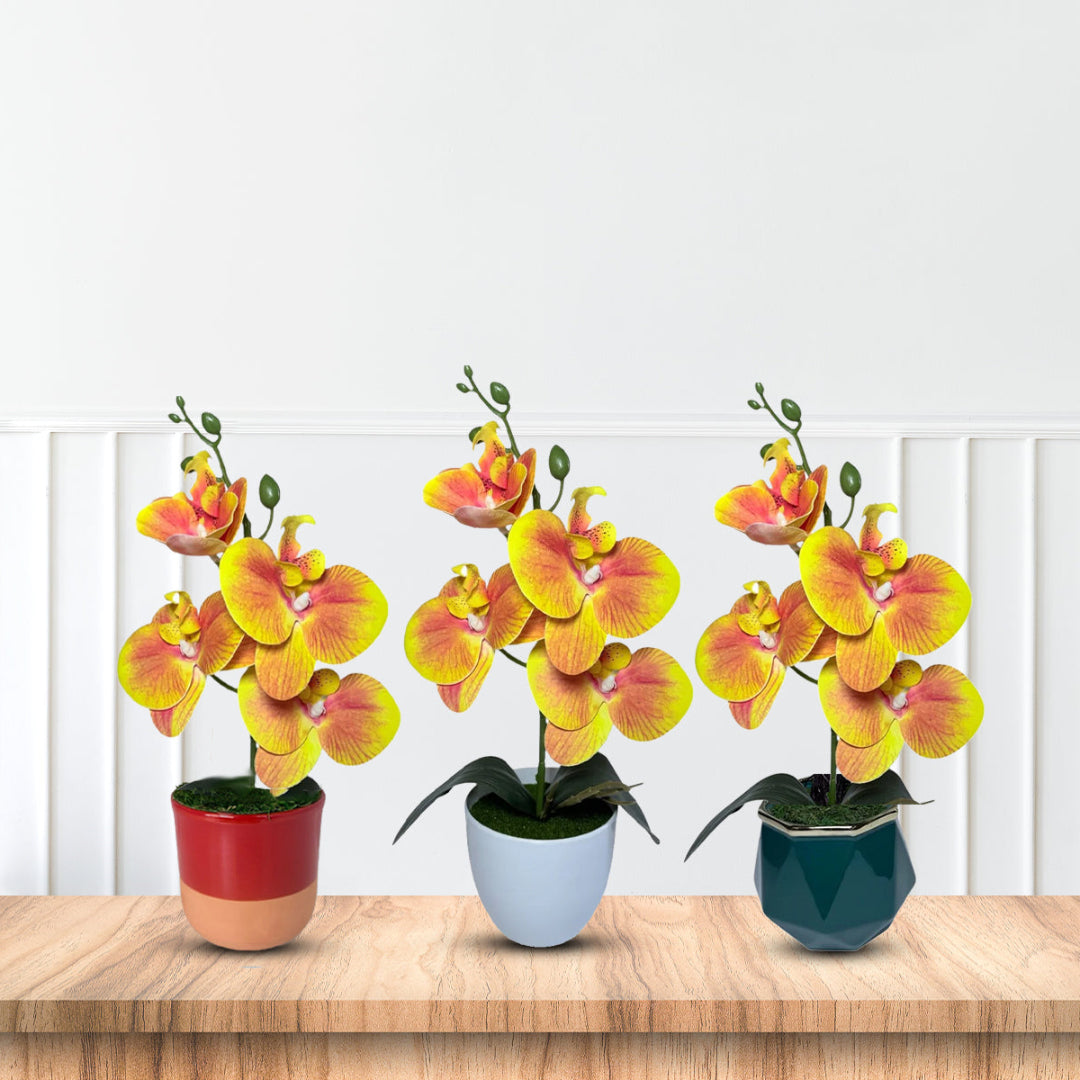 Gorgeous Orange Mini Orchid In Different Type of Pot - Artificial
