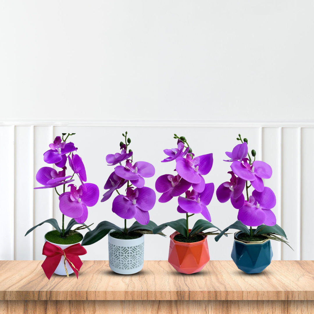 Gorgeous Purple Mini Orchid In Different Type of Pot - Artificial