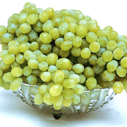 Marquis Seedless Grapes