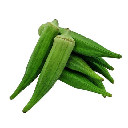 Okra Plant