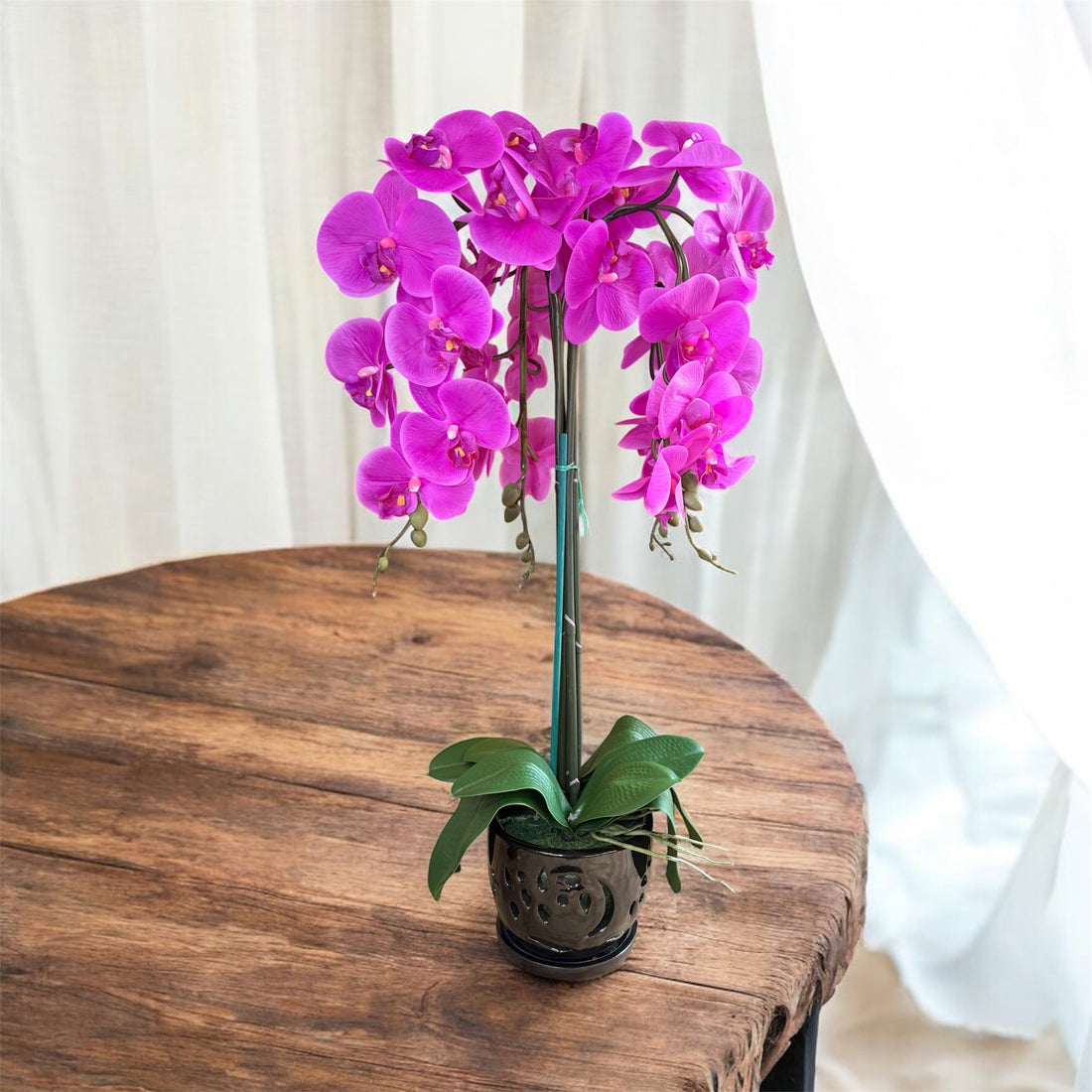 Elegant Purple Orchid in Black Ceramic Pot
