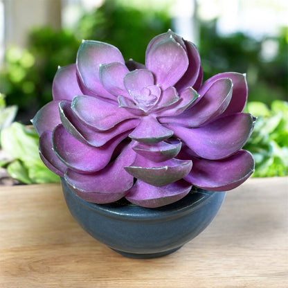 Artificial Echeveria Succulent in Gray Ceramic Pot – Perfect Gift for Home or Office Decor