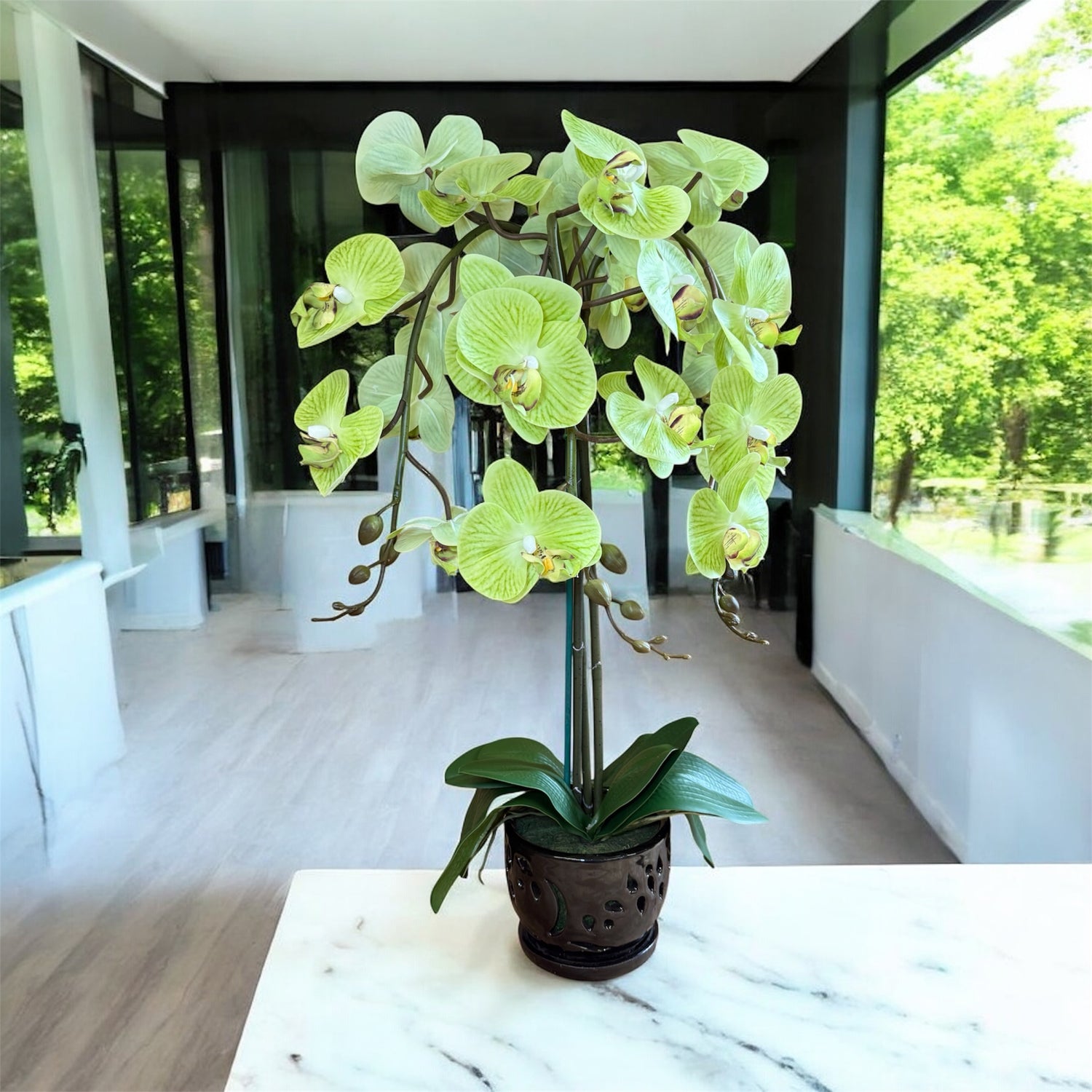 Elegant  Green Orchid in Black Ceramic Pot